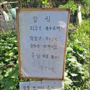 박순자농장 이미지