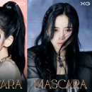 엑스지 이미지