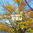 강진-22 | 강진가볼만한곳 강진무위사 가을풍경(25년11월)