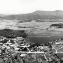 수원-1971 이미지