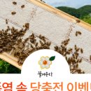 벌꿀집 이미지