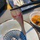 유 화 | 과천 초밥 맛집 줄을스시유 디너오마카세 후기