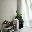 신데렐라세탁 본사세탁실 | 미니건조기추천 인테리어에 어울리는 쿠쿠 미니케어 건조기 제품 언박싱 후기