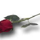 보이지 이미지