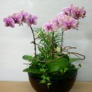 (주)삼화피엔티 이미지