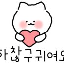 파주셀프사진관어느날 이미지