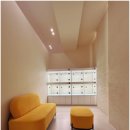 인천강아지분양 홍스퍼피 본점 이미지