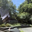 송계계곡 | [충북 제천] 21개월 아기와 계곡, 충주 송계계곡 물놀이 후기(벌꿀펜션, 평상대여, 송계, 쿨링 래쉬가드)