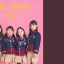 멜로우디(MELLOW:D) 이미지