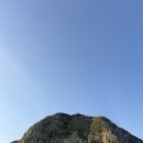 페트리코제주