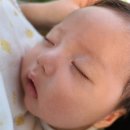 서영이 할머니네 이미지