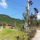 태양마을 이미지