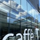 caffe T(카페 티) | 대전 만년동 CAFFE T(카페티)방문 후기