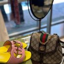 🎒여주프리미엄아울렛 구찌 오피디아 미니 백팩 득템 후기