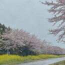 골든목장 이미지