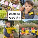 윤재농장 이미지