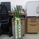 부동산777공인중개사사무소 이미지