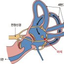 온기한의원 이미지