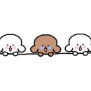 문래정육점