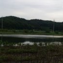 금성면사무소 이미지