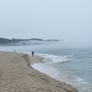 울진°후포에서 강릉까지 동해 기차여행 이미지