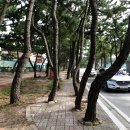 송정해변길 이미지