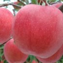 유정농원 이미지