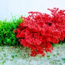 새에덴공인중개사사무소 이미지