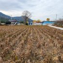 하서중학교 이미지