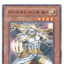 로드라이트 Daum카페