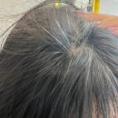 온헤베헤어살롱 - 101193 | 서구청미용실 추천 "온헤베 헤어살롱" 봄맞이염색+새치염색 후기