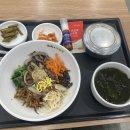 유타복싱클럽 | 오사카 모험
