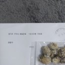 연님농장 이미지