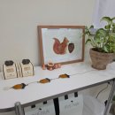 동문시장 | 제주 푸딩 맛집 🍮 동문시장 미세스묵 이색 디저트 후기