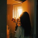 마인드피아노 이미지