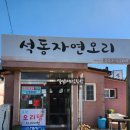 석동자연오리 이미지