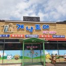 개냥조아