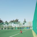 을숙도 리틀야구장 이미지