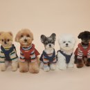 비커밍스튜디오 이미지