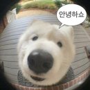 숙설궁 전설의 스테이크갈비 이미지