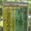 인제 캠핑장 | 돌배야영장 제2야영장 - 단풍 캠핑 애견동반 가능 강원도 캠핑장 추천