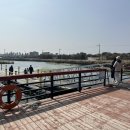 낚고락고 이미지