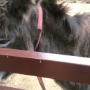 주월농장 이미지