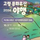 고령생고기 | 고령 문화유산夜행 지산동 고분군 한밤의 트래킹 대가야축제🎉다녀온 후기