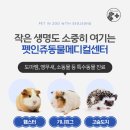 우리소동물병원 네이버블로그