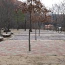 쿵쿵소 캠핑장 이미지