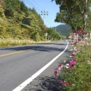 편한세상한의원 이미지