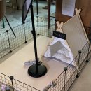 카페카이 이미지