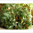 부자농원 이미지