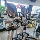 초콜릿휘트니스 이미지